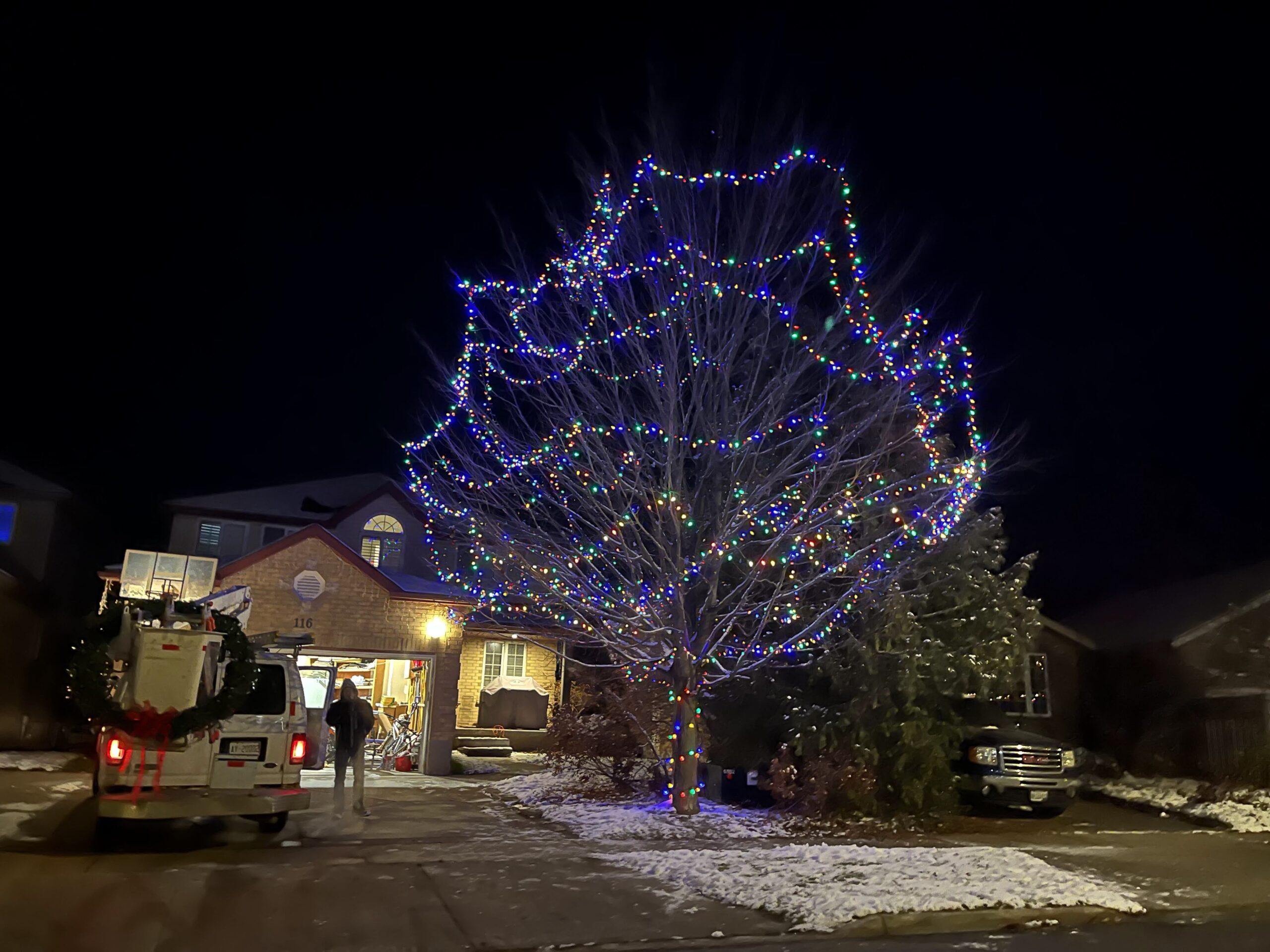 We Install Christmas LIghts Tree Lighting Decoration We Install Christmas LIghts Tree Lighting Decoration